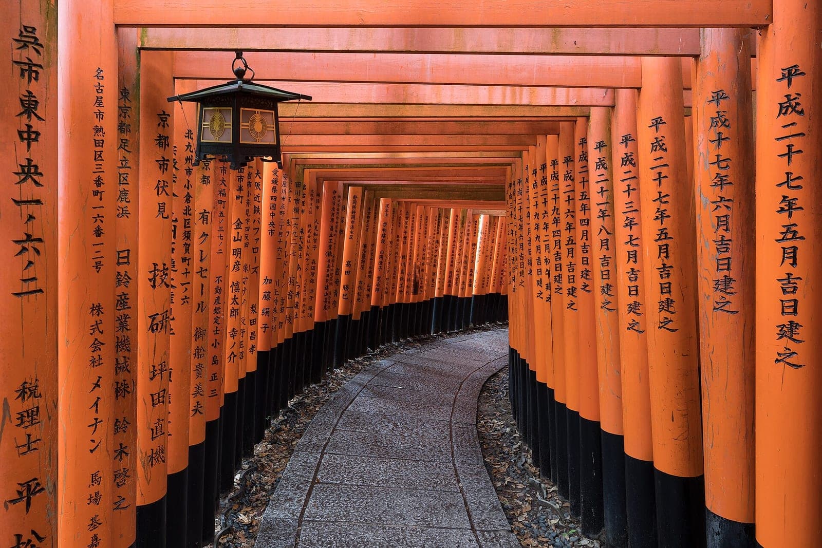 The torii path at Fushimi Inari in Kyoto