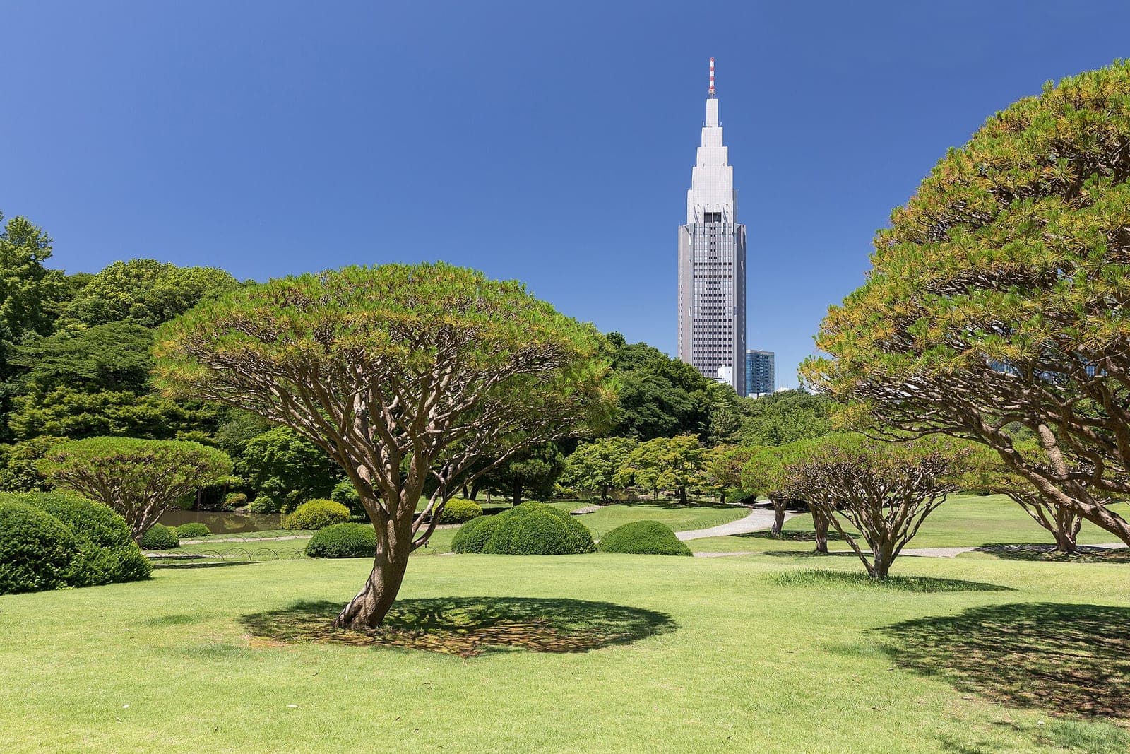Shinjuku Gyoen garden and the Tokyo skyline