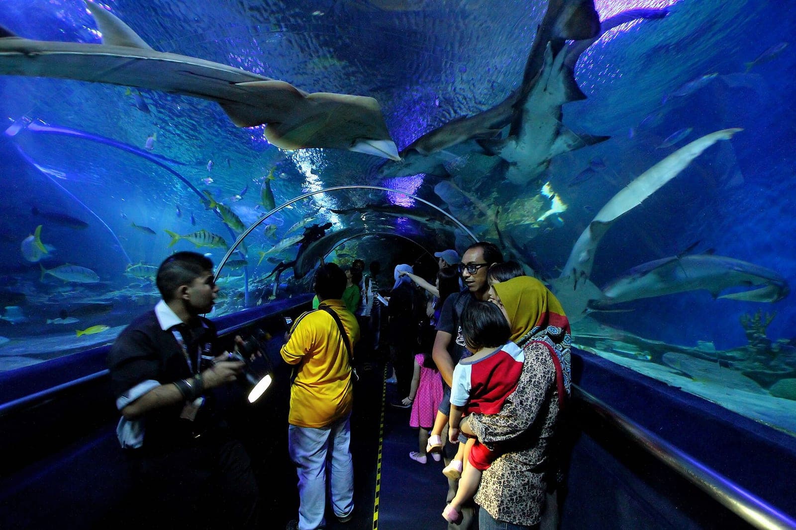 The underwater tunnel at Aquaria KLCC
