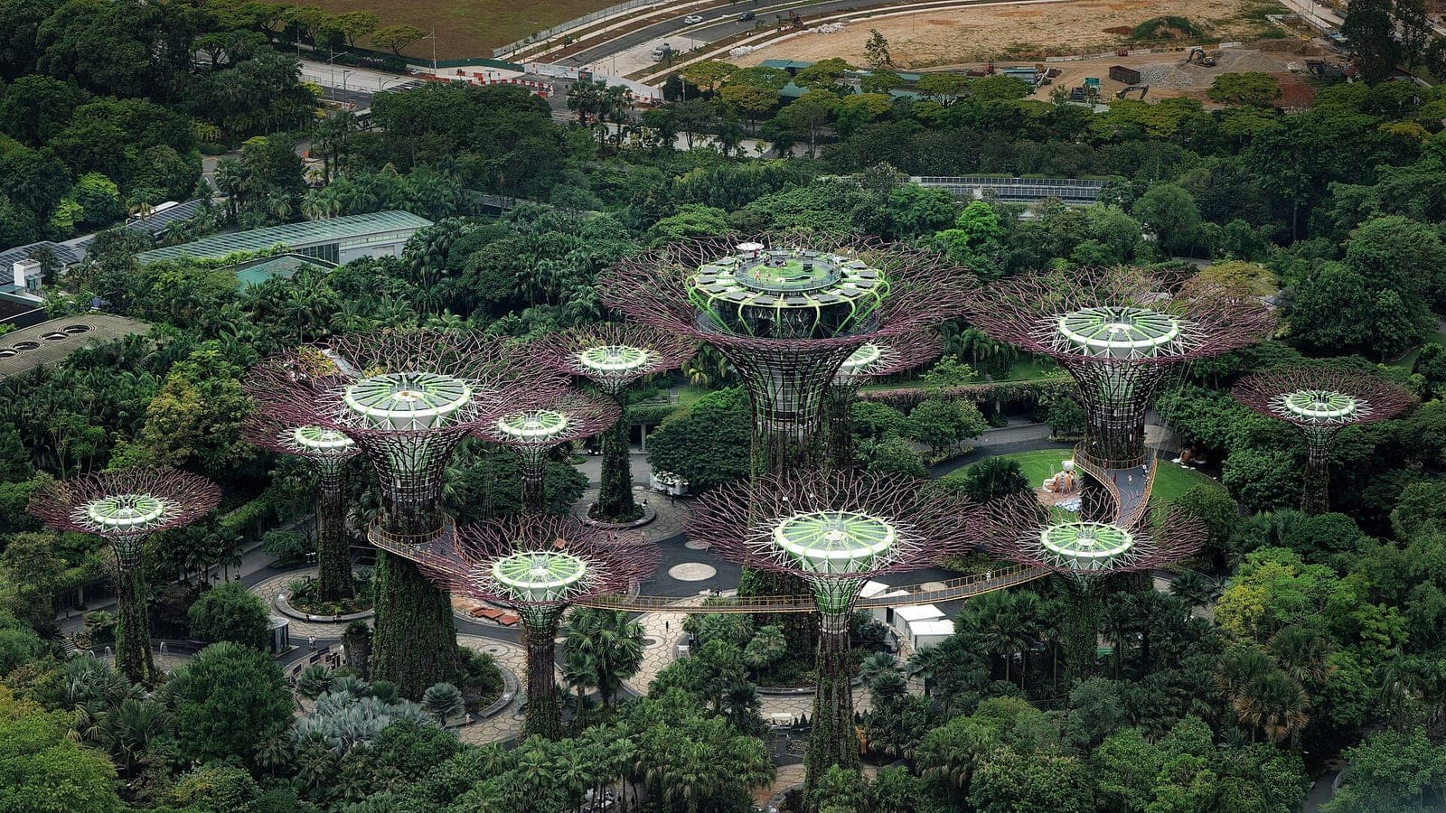 Supertree Grove at Gardens by the Bay