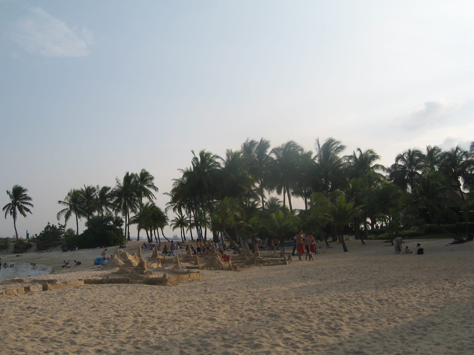 Palm trees along Siloso Beach, Sentosa