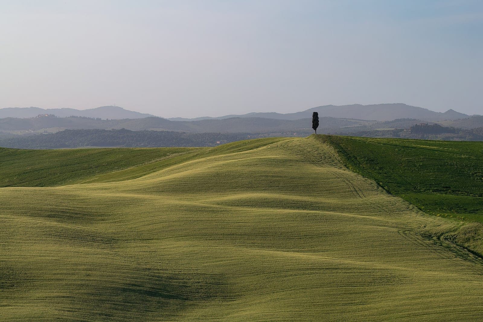 Rolling hills in the Tuscan countryside