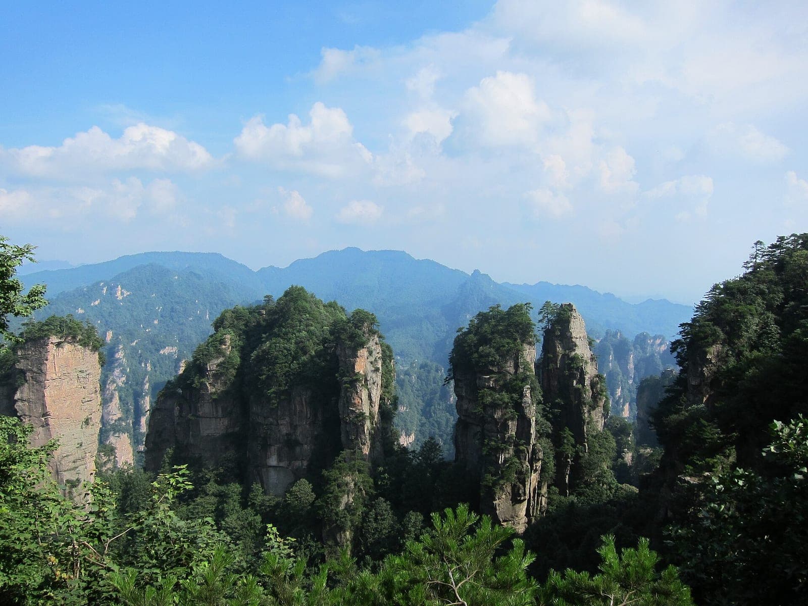 The sandstone pillars of Zhangjiajie National Forest Park